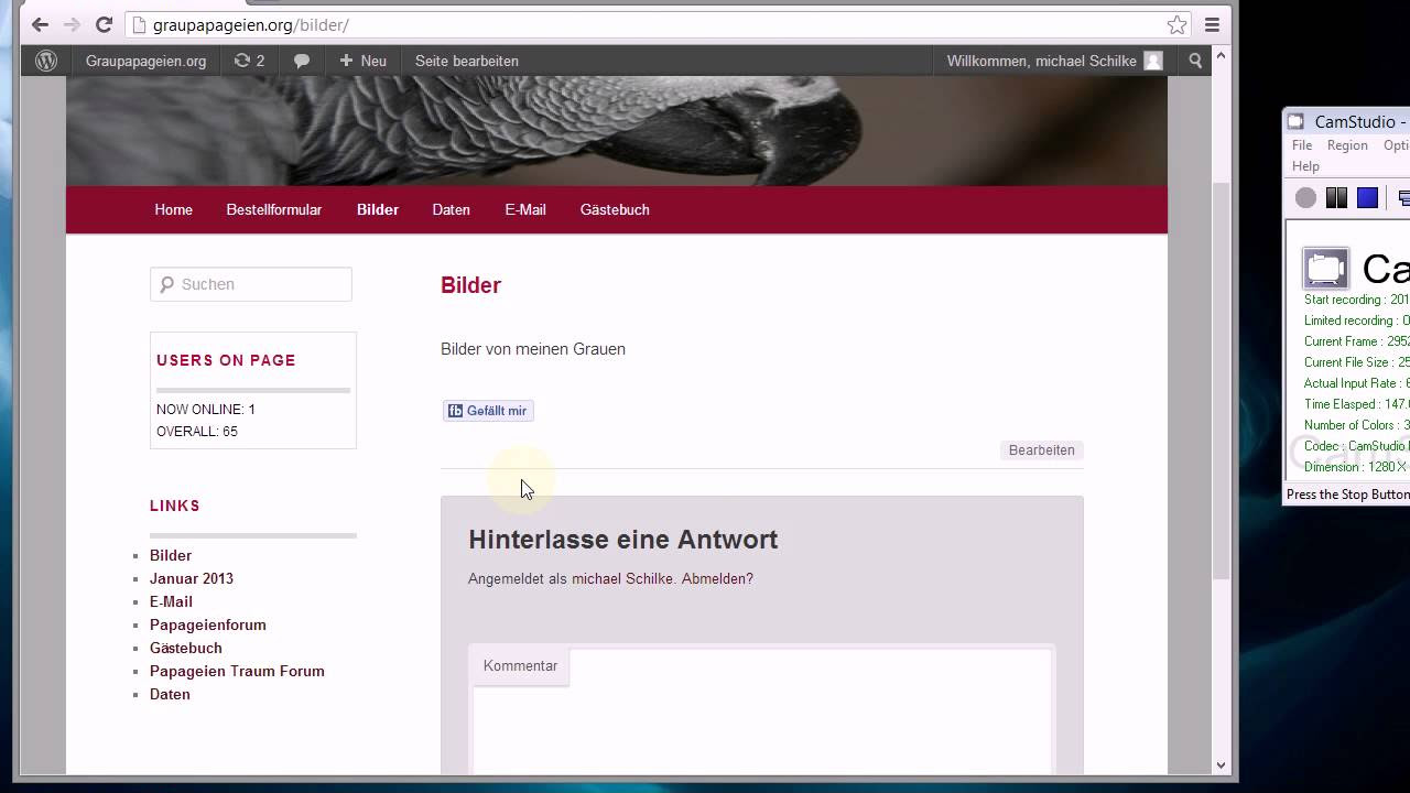New Update Wp - Plugin - Facebook like Datenschutz