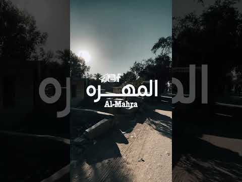 كومي يايمه اعله طولج مو وكت نوم بنعش النجف مقبرة وادي السلام الفتحه الاولى