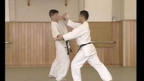 Yoshinkan Aikido - Katate Mochi Nikajo Ni