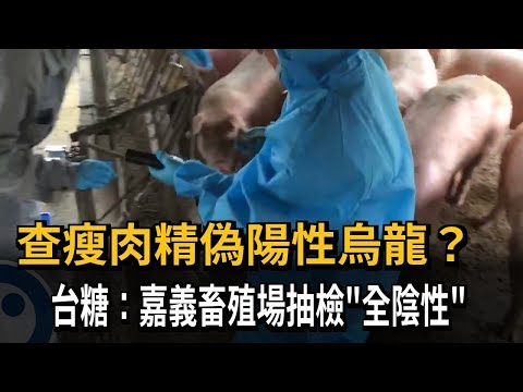 查瘦肉精偽陽性烏龍？ 台糖：嘉義畜殖場抽檢"全陰性"－民視新聞