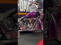 Harley Davidson  'El Perro' Lowrider TT Custom #harleydavidson #ttcustom