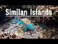 Similan Islands - One of the Top 10 dive destinations to visit in the World