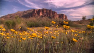 Arizona highways tv - mar 9, 2019 episode