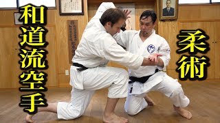 和道流空手に神道揚心流柔術を見た！Ju-jutsu technique in Wado-ryu Karate