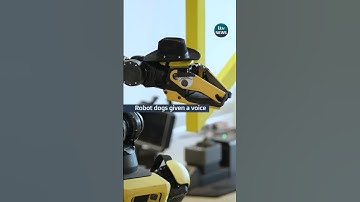 Boston Dynamics used ChatGPT to give their robot dog a voice #itvnews #robot #bostondynamics