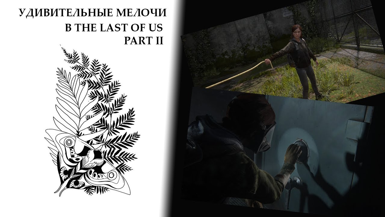 Коды от сейфов зе ласт оф ас. The last of us папоротник. The last of us тату эскиз.