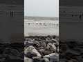 sea beach new digha                        #nature #sea #dighaseabeach #reels #viralshorts #blog