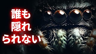 自然界で最も怖い360度の視野を持つ目