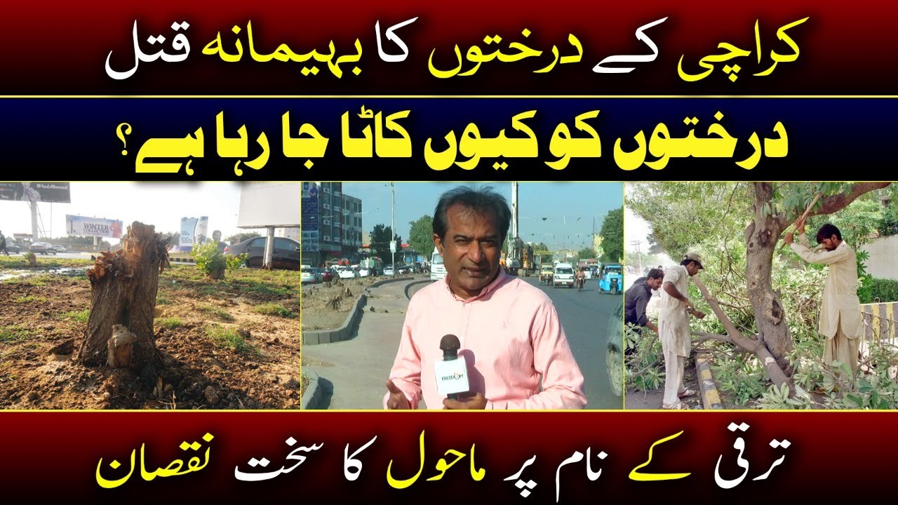 Tree Cutting | Karachi Red Line Bus | Karachi Transport | Freedom News