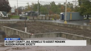 Overcrowded animal shelter gets help from local sheriff