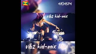 Vibz kid:Dancehall mix tape 2023 hardcore mix🔯raw version)Ganster medzz 💥