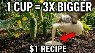 Vegetables Will TRIPLE In Size Overnight — Pour This $1 Secret Once