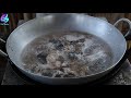 Catch big fish in river - Cooking fish for survival