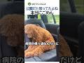 公園だと思ってたよね…本当にごめん