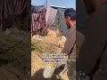 POV: you’re kind soul who rewatched 3x to help me buy food for my children in Gaza #viralvideos #