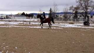 VID 20140107 120141779 1