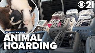 What leads to animal hoarding? Shelter says 2026 has been 'by far the worst year'