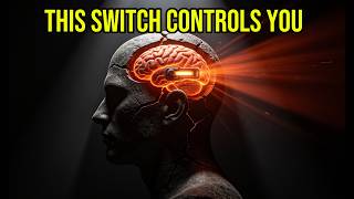 Scientists Just Found the Ancient Brain Switch That Controls Your Focus