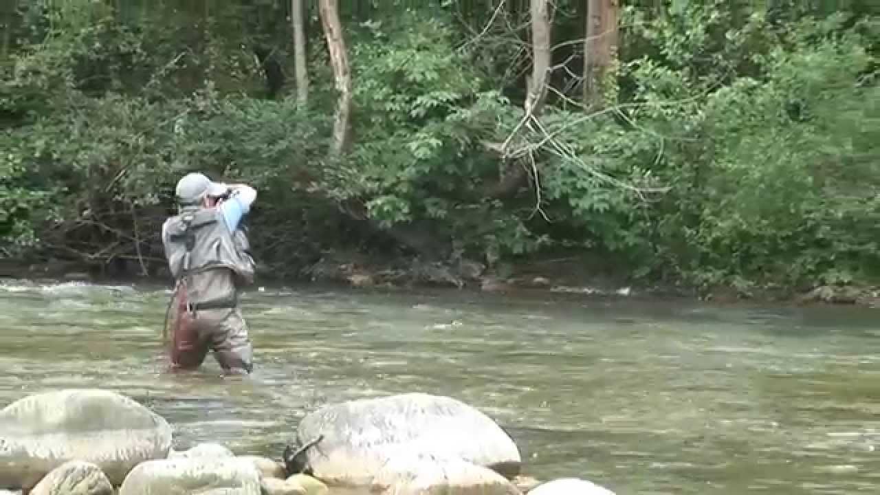 CAMPEONATO DE ESPAÑA DE PESCA A MOSCA 2014