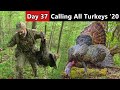 CALLING GOBBLERS DOWNHILL - Thunder In The Valley!!! - Turkey Hunting Public Land