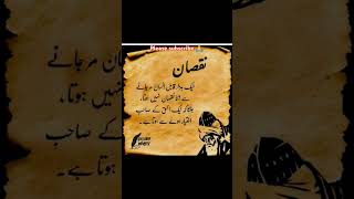 What Do You Think Romi