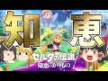 【知恵のかりもの】ゼルダの伝説 完全新作を早速プレイ!謎の裂け目がでっかくなっちゃった！ﾀｽｹﾃｰｰｰｰ!!【ゆっくり実況】【ゼルダの伝説】