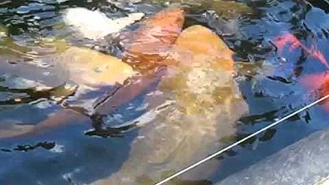 video-2012-06-07-13-37-14