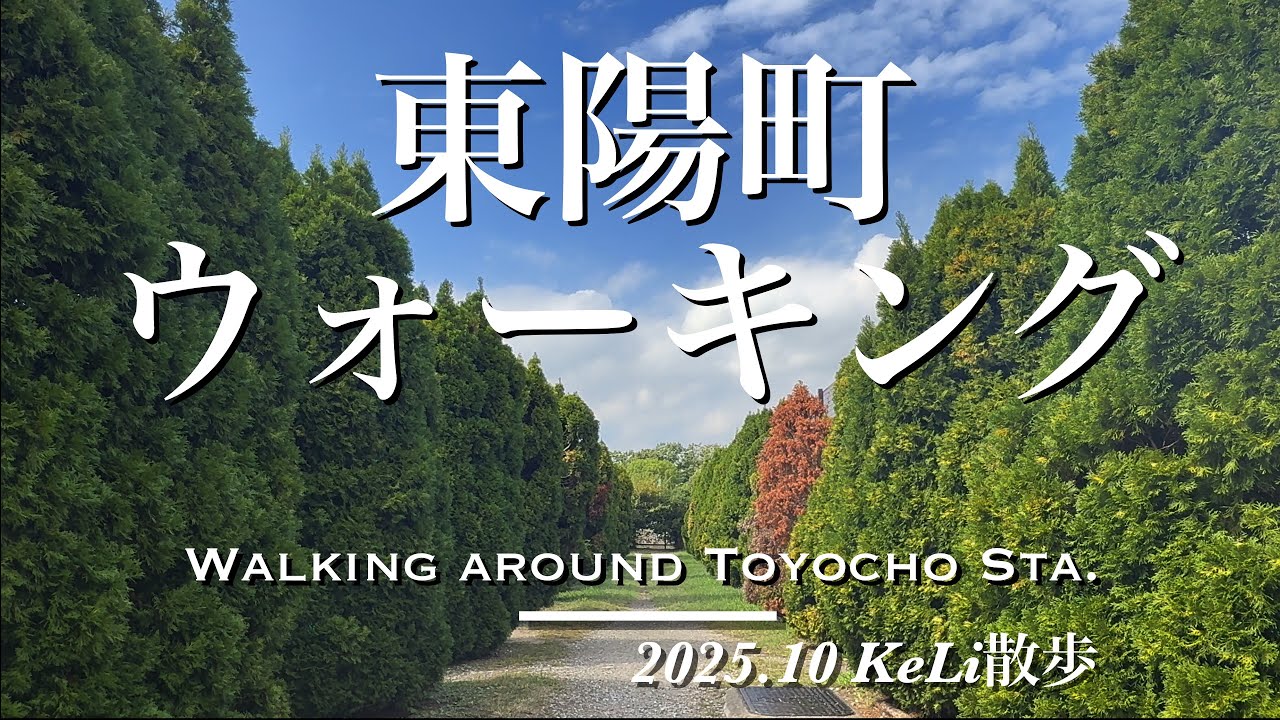 【4K】東陽町駅周辺をお散歩しました！！Walking around Toyocho Station!