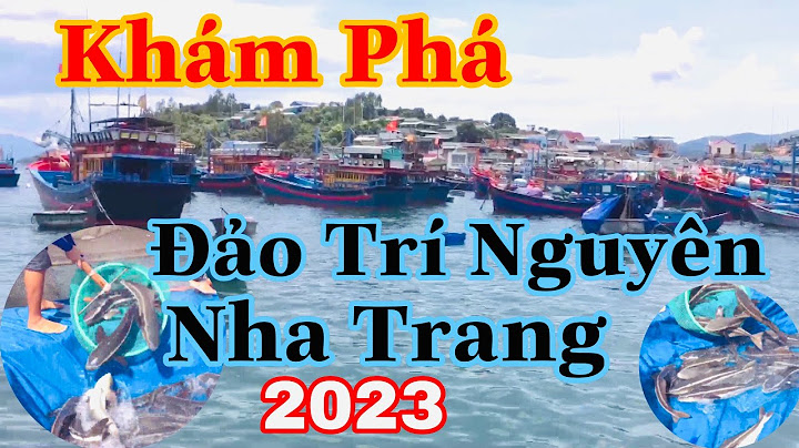 Hướng dẫn đi đảo trí nguyên nha trang tự túc