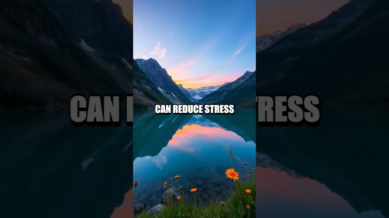 Transforming Mental Health Through Nature-Inspired Mindfulness