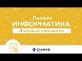 Линейные программы  Информатика Паскаль #8 | Знанио