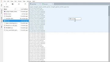 JupyterLab CSV editing