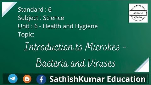 VI Std Science - Term:1 - Unit:6 - Health & Hygiene - Microbes - Bacteria & Virus - [7]