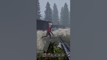 DayZ - No Rules, Just Bullets | №794 #shorts