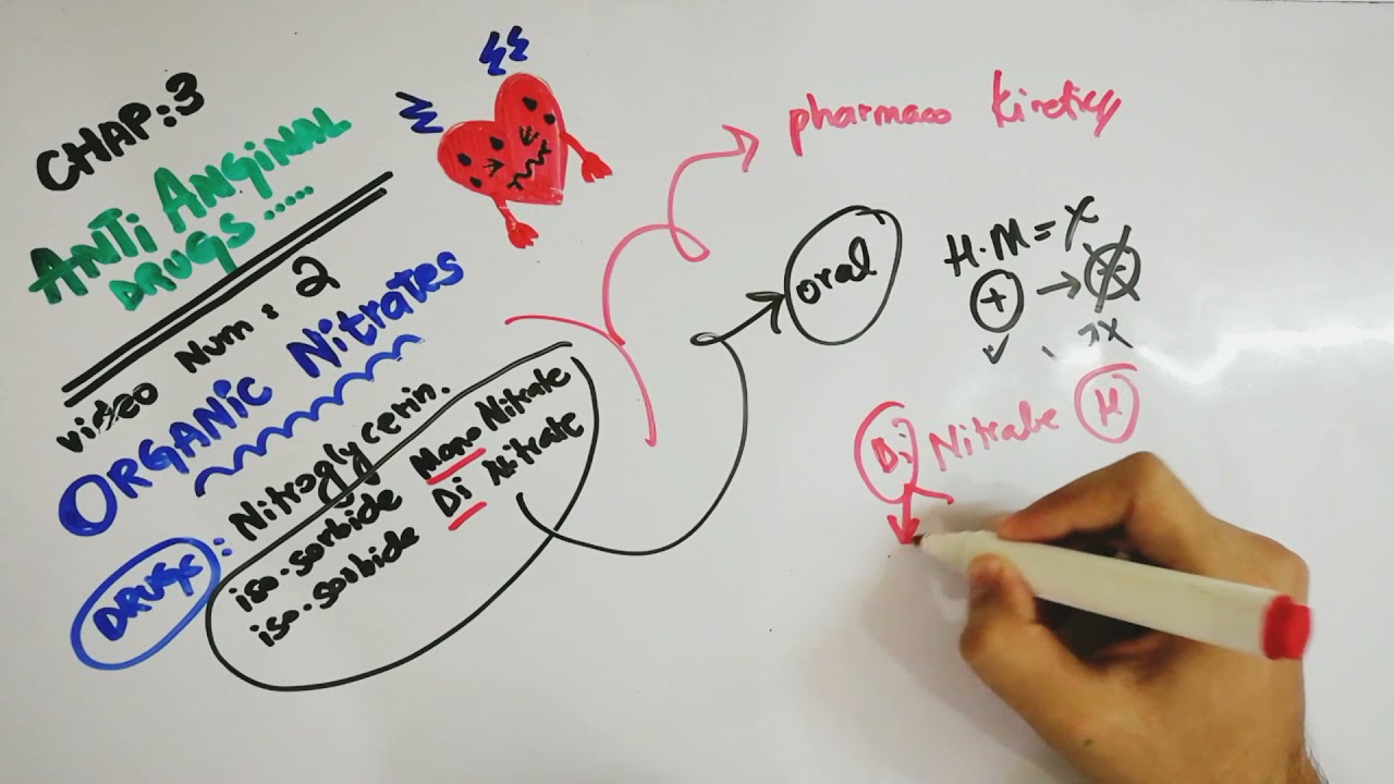 Anti Anginal Pharmacology (ORGANIC NITRATES)