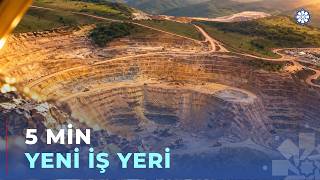 Filiz Yataqları, Yeni Zavodlar, Minlərlə Iş Yeri