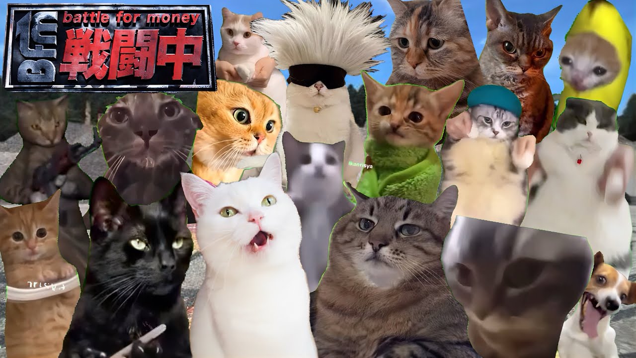 戦闘中をすることになった猫たちの日常Part最終回【猫ミーム】【猫マニ】