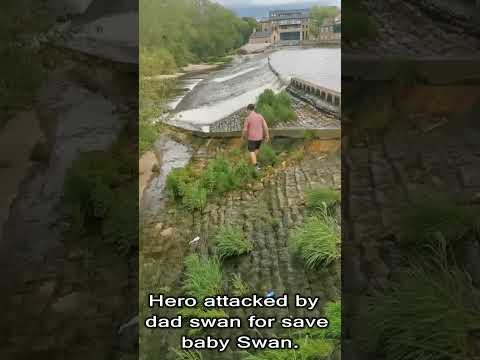 ♥ Hero attacked