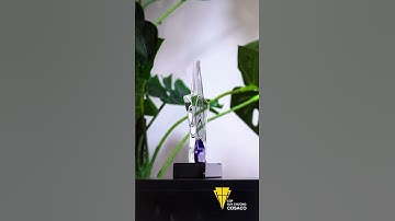 MÃ PL201 - KỶ NIỆM CHƯƠNG THỦY TINH - KỶ NIỆM CHƯƠNG PHA LÊ - NSX COSACO  #cupthethao #kyniemchuong