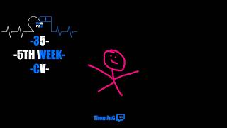 ThomFnG - Session 10.35 -5TH WEEK CV-
