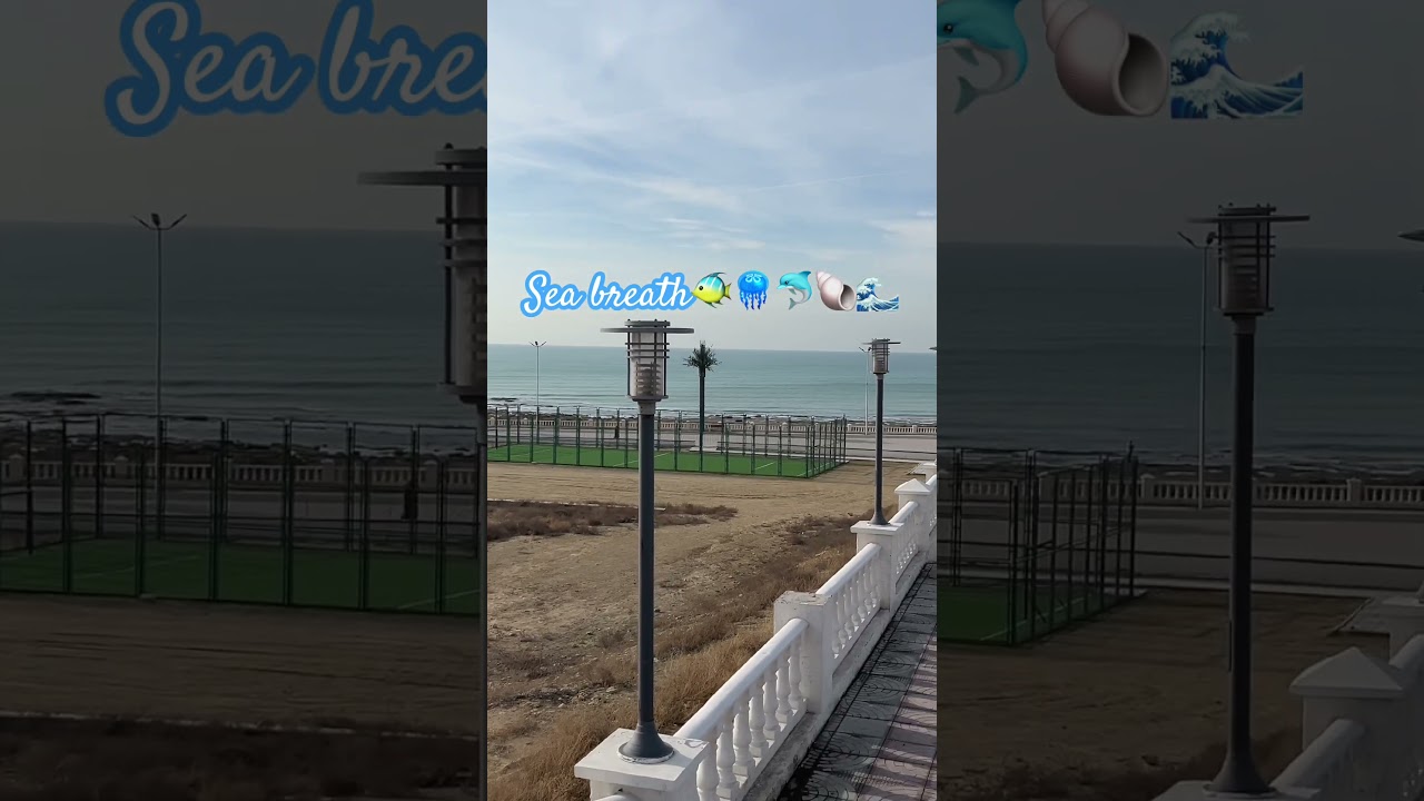 Daily blog Sea breath