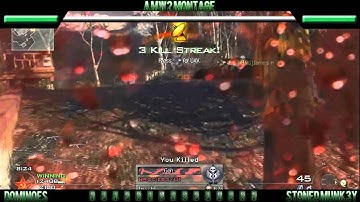 Dominoes - A MW2 Montage