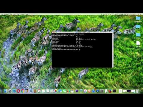 10  Run Python Program File in Terminal