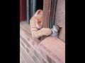 #funny shorts #cutecat #shortvideo