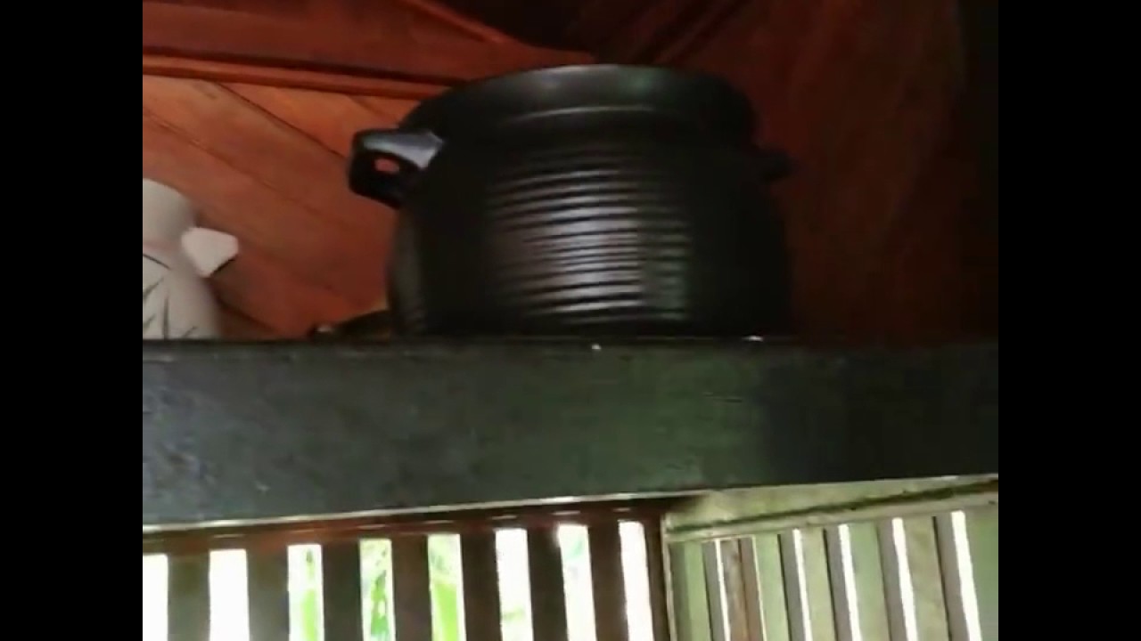 Rumah Hutan Rozita Ibrahim Dimana