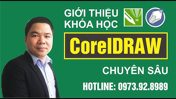 Khóa Học CorelDraw X7, CorelDraw 12 Chuyên Sâu | Học Thiết Kế Đồ Họa Cơ Bản Nâng Cao