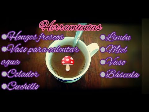 Vídeo: Secador De Hongos: Propiedades útiles Y Preparación De Infusión. Recetas Para Usar Crus Secos