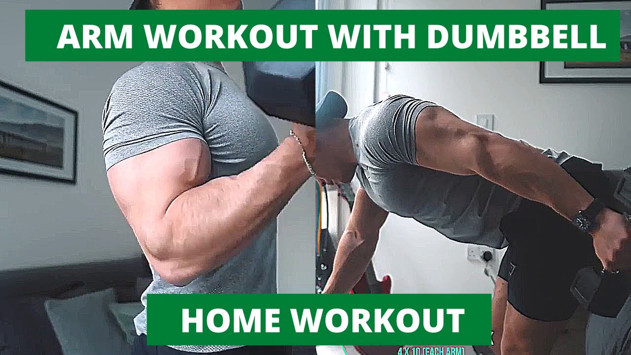 6 Day Arm Exercises At Home Youtube for Beginner