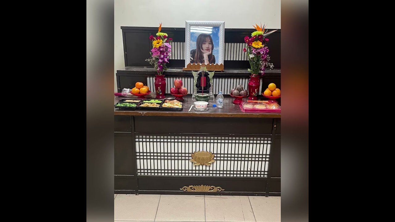 陳星妤小姐紀錄片