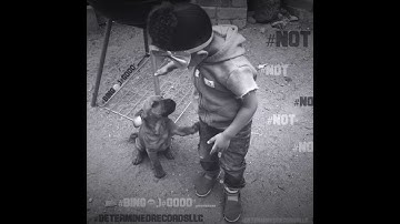 #NOT .... #BINg😁,)#g000”,........ #DETErmiNEd#ReCoRDS#LLC